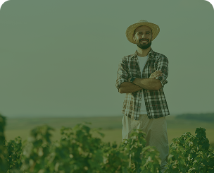 Defesa em Execução de Contratos de Soja