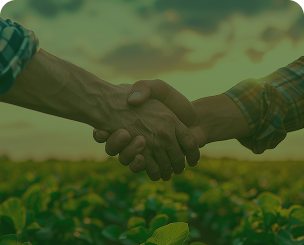 Renegociação de Dívidas Tributárias Rurais