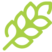 História da X7 - Card 1